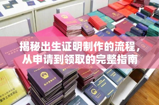 田东揭秘出生证明制作的流程，从申请到领取的完整指南